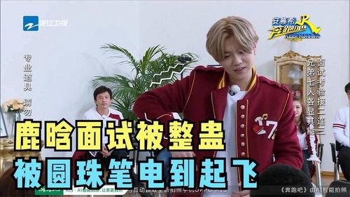 鹿晗 搞笑综艺,综艺新秀展魅力