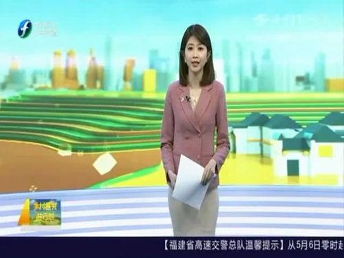 福建台漂亮女主播,美丽与智慧并存的荧屏之星