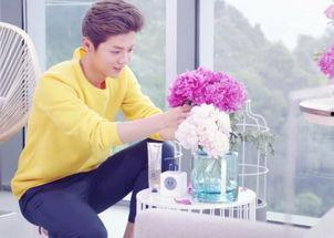 娱乐圈招聘鹿晗,娱乐圈招聘热潮来袭！