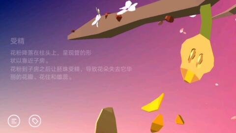 娱乐新闻 背景音乐,揭秘明星幕后故事，音乐助力情感共鸣